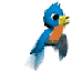 bigbirdbird's Avatar